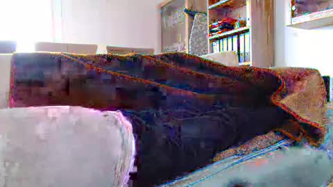 germanandy71 online show from December 2024 12:12:02 PM