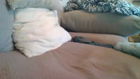 Snapshot of getsome11 chatting on March 2026 12:53:01 PM Getsome11 online show from March 2026 12:53:01 PM