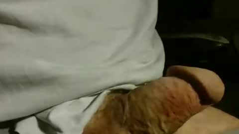 Snapshot of gettingstiff chatting on December 2025 01:38:02 PM gettingstiff online show from December 2025 01:38:02 PM