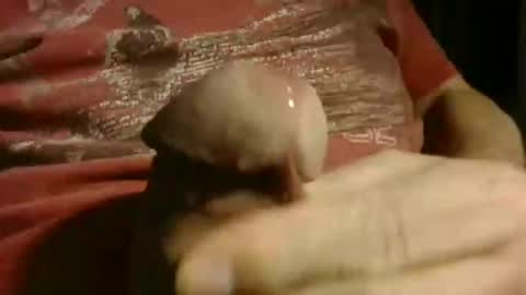 Snapshot of gettingstiff chatting on January 2026 12:10:02 PM gettingstiff online show from January 2026 12:10:02 PM