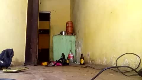 Gaby online show from September 2025 04:54:01 PM