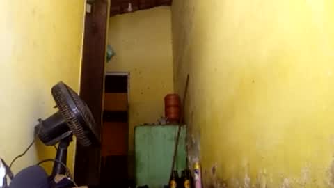 Gaby online show from April 2026 04:45:01 PM