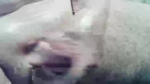 ghost1805 online show from December 2024 02:05:01 AM