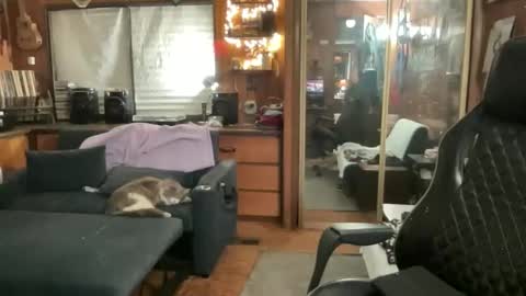 ghostboygbc online show from March 2026 03:33:01 AM