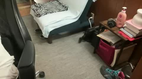 ghostboygbc online show from April 2026 02:23:01 AM