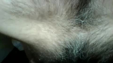 Snapshot of gigigegio chatting on September 2025 06:07:01 PM gigigegio sky online show from September 2025 06:07:01 PM