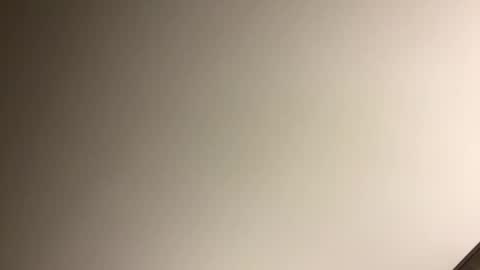 gingercockring online show from March 2025 07:12:02 AM