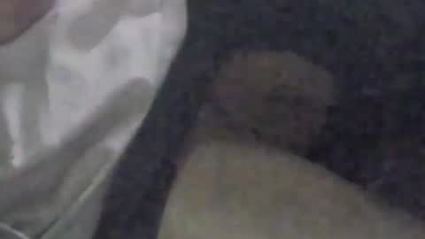 Snapshot of girlscallme666 chatting on September 2025 03:33:01 PM lovegirlscallme online show from September 2025 03:33:01 PM