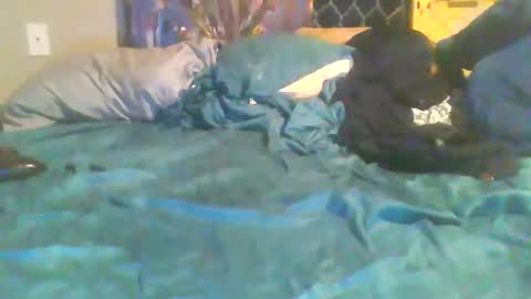 girthdoctor online show from March 2026 02:34:01 PM