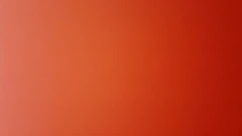 Tommy online show from December 2024 09:09:02 AM