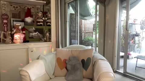 Gl1tter Barbie online show from November 2025 12:39:02 PM