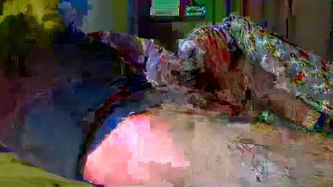 guybuzz online show from December 2024 05:10:02 PM