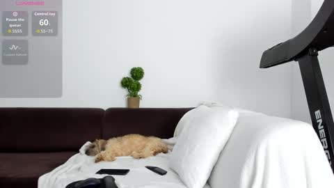 Alice online show from January 2026 10:35:02 PM