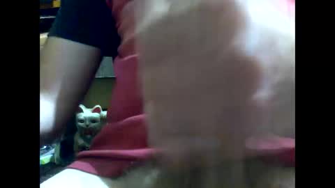 Snapshot of gmjavenger chatting on January 2025 08:45:01 AM PencilDick online show from January 2025 08:45:01 AM