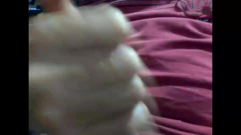 Snapshot of gmjavenger chatting on February 2025 08:54:02 AM PencilDick online show from February 2025 08:54:02 AM