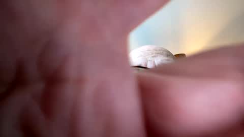 gngnxxx online show from October 2025 12:02:01 PM