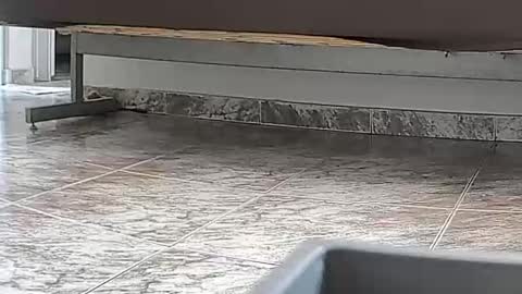 goddesshannahfeet_ online show from April 2026 04:40:02 PM