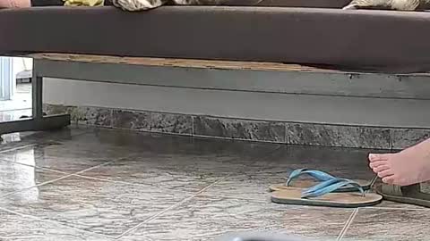 goddesshannahfeet_ online show from April 2026 04:45:02 PM