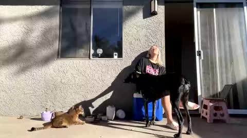 Snapshot of goddessmayvn chatting on December 2024 09:33:01 PM GoddessMayvn online show from December 2024 09:33:01 PM