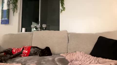 Snapshot of goddessmayvn chatting on December 2024 10:16:01 AM GoddessMayvn online show from December 2024 10:16:01 AM