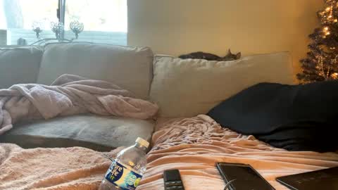 Snapshot of goddessmayvn chatting on December 2024 04:40:02 PM GoddessMayvn online show from December 2024 04:40:02 PM