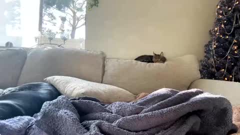 Snapshot of goddessmayvn chatting on January 2025 11:03:02 PM GoddessMayvn online show from January 2025 11:03:02 PM