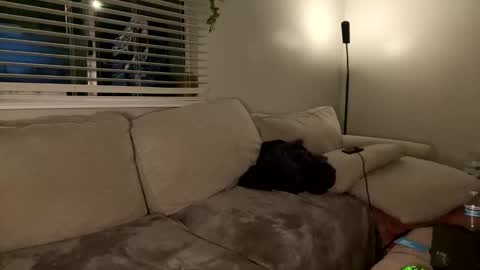 Snapshot of goddessmayvn chatting on January 2025 07:32:01 AM GoddessMayvn online show from January 2025 07:32:01 AM