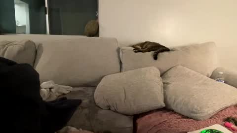 Snapshot of goddessmayvn chatting on February 2025 09:52:01 AM GoddessMayvn online show from February 2025 09:52:01 AM