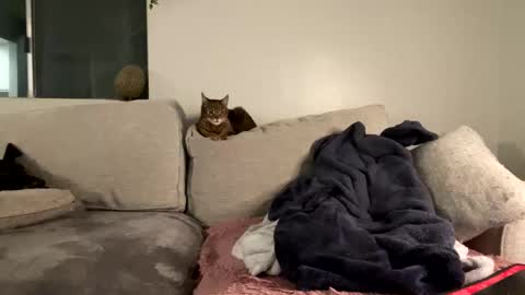 Snapshot of goddessmayvn chatting on February 2025 07:15:01 AM GoddessMayvn online show from February 2025 07:15:01 AM