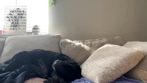 Snapshot of goddessmayvn chatting on February 2025 09:52:02 PM GoddessMayvn online show from February 2025 09:52:02 PM