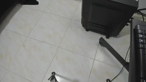 goldyht online show from December 2025 12:54:01 PM