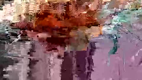 Snapshot of gonadalache chatting on November 2025 03:56:02 AM gonadalache online show from November 2025 03:56:02 AM