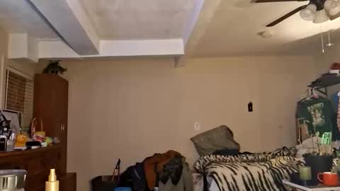 Snapshot of gonr369 chatting on February 2026 12:18:02 AM gonr369 online show from February 2026 12:18:02 AM