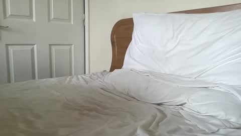 Dillan Diamonds online show from March 2025 08:35:01 AM