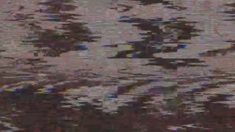        online show from May 2026 04:41:02 AM