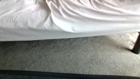 watch me stroke online show from May 2026 02:56:01 PM