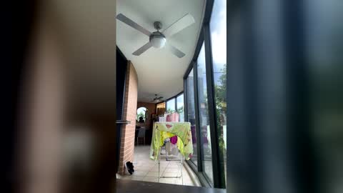 Snapshot of gracemeow chatting on February 2026 06:40:02 AM gracemeow online show from February 2026 06:40:02 AM