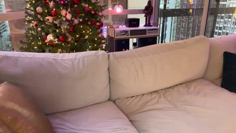 Snapshot of graciemae_baexx chatting on January 2025 10:23:01 PM Gracie Mae online show from January 2025 10:23:01 PM