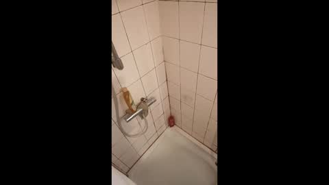 Grakex online show from April 2026 06:38:02 AM