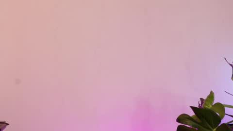 grecia____ online show from February 2026 05:23:02 PM