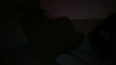 Snapshot of greenlova chatting on March 2025 06:35:01 AM Sonny online show from March 2025 06:35:01 AM