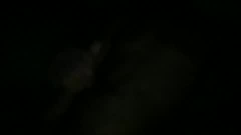 Snapshot of greenlova chatting on October 2025 10:25:01 AM Sonny online show from October 2025 10:25:01 AM