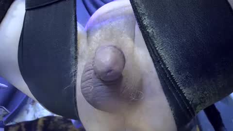 electrogee1 online show from February 2025 08:25:02 AM