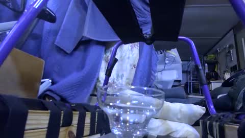 electrogee1 online show from October 2025 01:39:01 AM