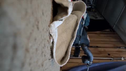 electrogee1 online show from March 2026 01:00:02 AM