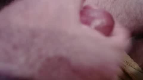 Snapshot of gregburns chatting on January 2025 04:31:02 PM Greg online show from January 2025 04:31:02 PM