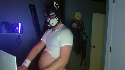 Alpha pup online show from October 2025 09:29:02 AM