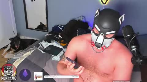 Alpha pup online show from November 2025 07:35:02 PM