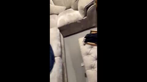 gt79802068 online show from November 2025 07:03:02 PM