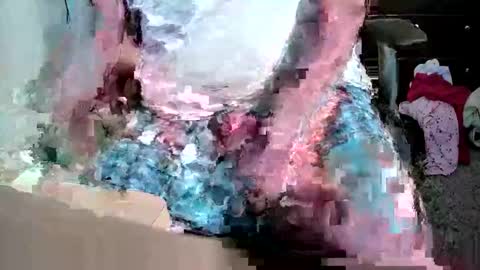 gtr345 online show from April 2026 06:03:02 AM